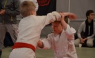 Roope voisi menestyä karatessakin, tai katassa.